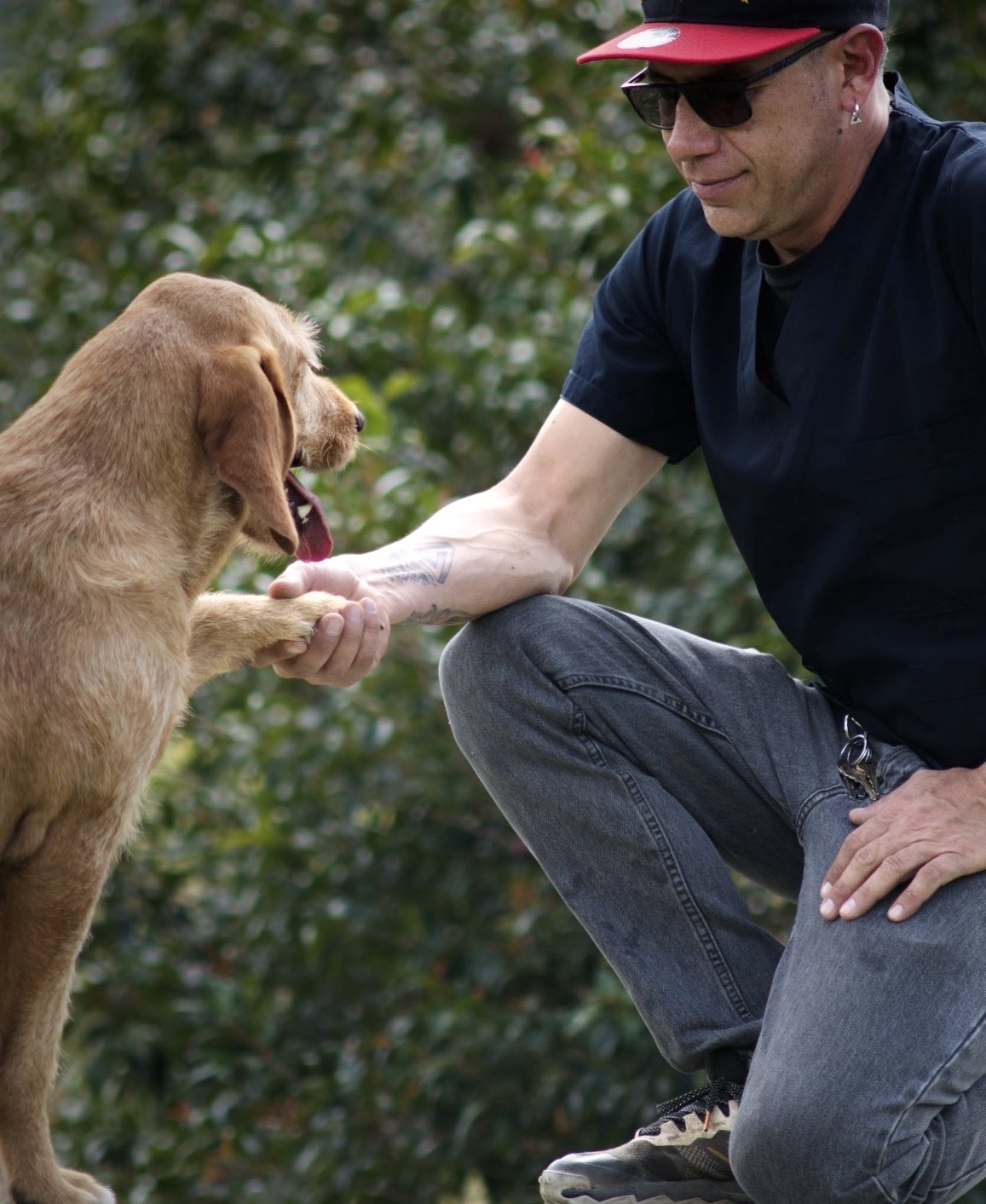 Entrenamiento Junior