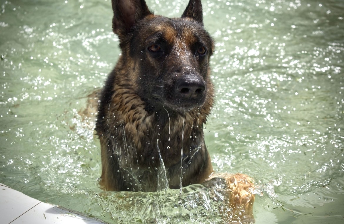 Guardería - Premium